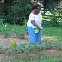 Garden 3 - The garden at Brooke Meadow Residence